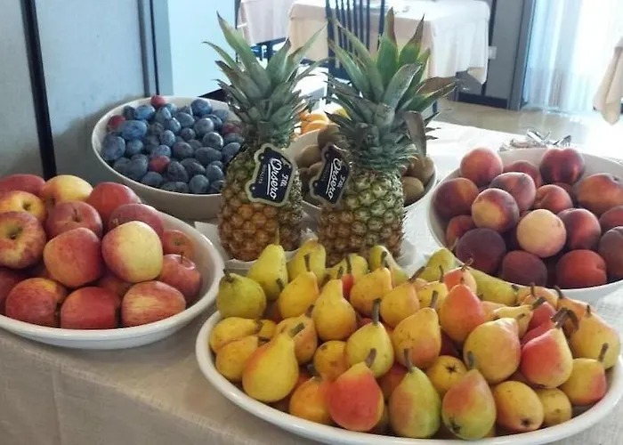 Otel Gabbiano Cattolica