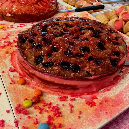 Gabbiano カットーリカ