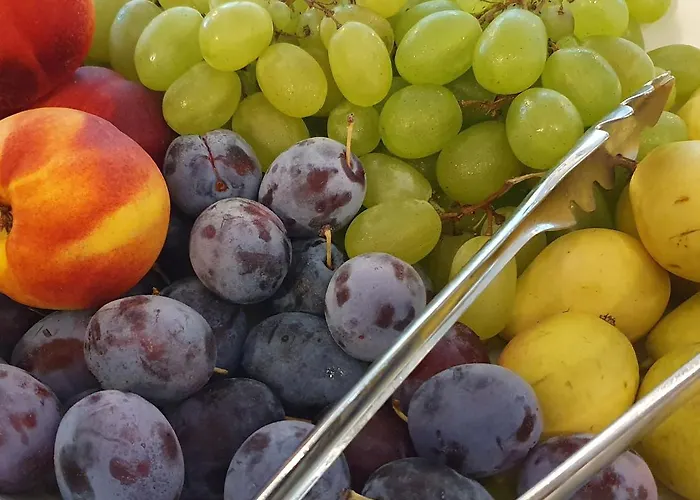 Gabbiano 호텔 카톨리카