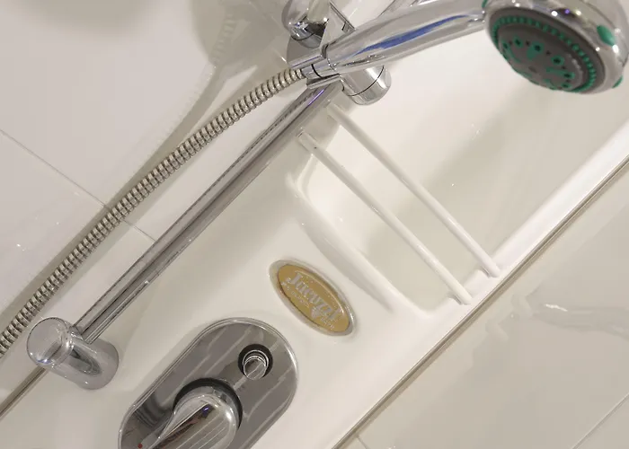 Gabbiano 카톨리카