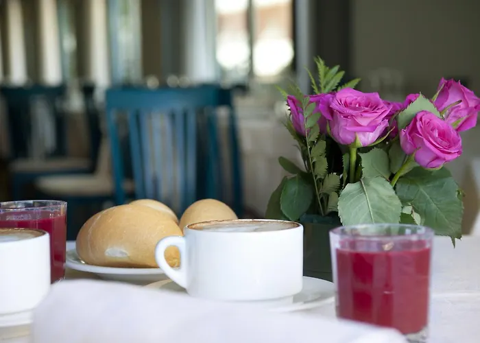 Gabbiano 호텔 카톨리카